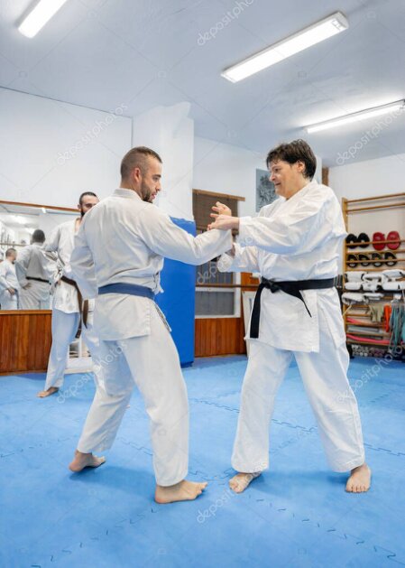 Grupo em treino de artes marciais na Arte Lusa
